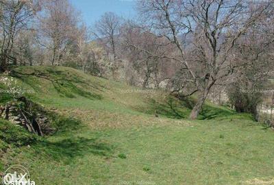 Teren de 3682 mp, în Măneciu - 6