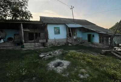 Casă cu 3 camere în Scobinți - 8