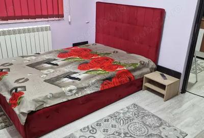 Apartament cu 2 camere decomandat în Brotăcei - 7