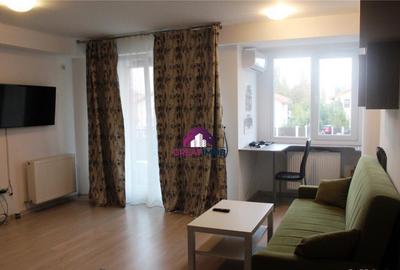 GARSONIERA 46MP ODAI OTOPENI - 5