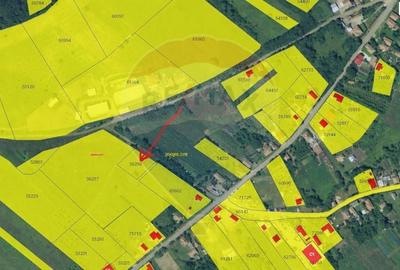 Teren Construcții intravilan de 1000 mp, în Corpadea - 3