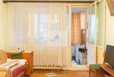 Domenii-Averescu, Apartament 2 Camere decomandat - 3