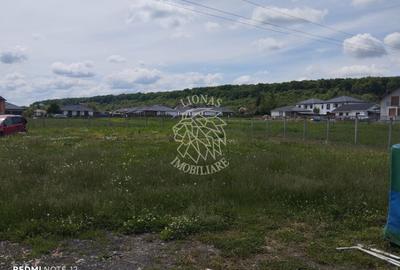 Teren Construcții intravilan de 800 mp, în Unirea - 1