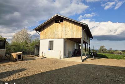 Casă cu 5 camere cu Teren 2867 Mp în Păunești - 5