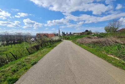 Spațiu comercial, în Dacia - 3