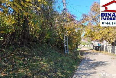 Teren de 3600 mp, în Alexandru cel Bun - 8