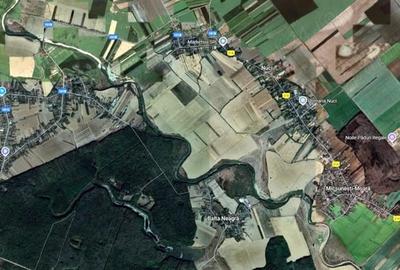 Teren de 15000 mp, în Nuci - 3