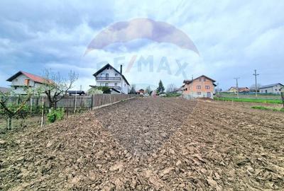 Teren Construcții intravilan de 826 mp, în Luizi-Călugăra - 7