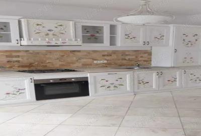 Vila spatioasa de inchiriat - la intrare in Dumbravita dinspre Timisoara - 3