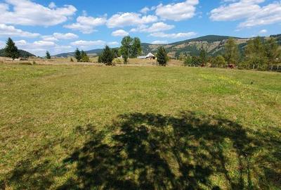 Teren de 6923 mp, în Arieșeni - 4