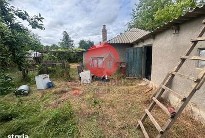 Casă cu 4 camere cu Teren 1309 Mp în Murighiol - 6