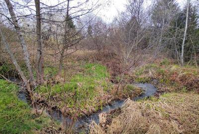 Spațiu comercial, în Viștișoara - 5