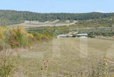 Teren Intravilan de vanzare, 4.900 mp, zona parcului Industr - 4