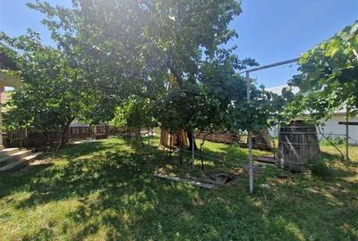 Casa traditionala, cu 2.000mp teren roditor, Izvoarele, Prahova - 6