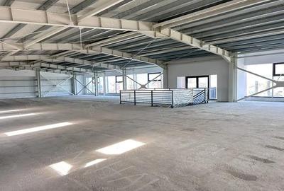 Spațiu comercial, de 1,312 mp, în Baza 3 - 6