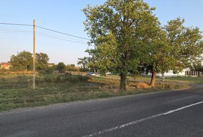 Teren intravilan în localitatea Berini - 5