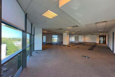 Spatii birouri, medicale 745mp, Tudor Center - 11