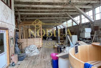 Spațiu comercial, în Agăș - 5