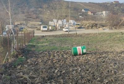 Teren de 14251 mp, în Podgoria - 1