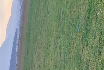 Spațiu comercial, în Bartolomeu - 3