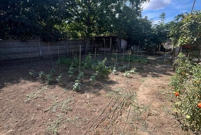 Casa km 5 cu teren mare - 21