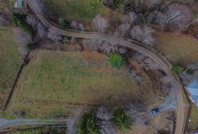 Teren Construcții intravilan de 2980 mp, în Dealu Negru - 2