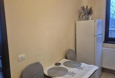 Garsonieră decomandată în Ciorogârla - 1