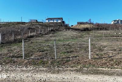 Teren de 900 mp, în Paleu - 4