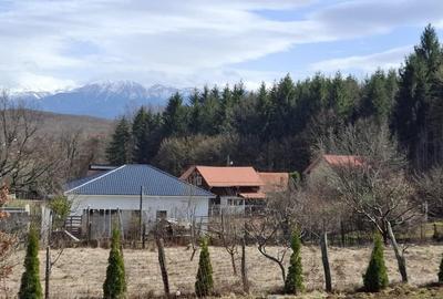 Teren intravilan | 1000 mp | de vanzare- Tocile, Sadu - 4