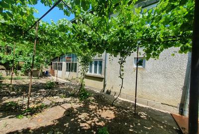 Casă cu 6 camere în Bucovăț - 3