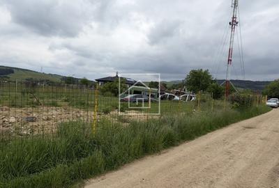 Teren Construcții intravilan de 1650 mp, în Poplaca - 4