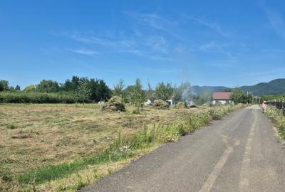 Teren de 3000 mp, în Merișor - 6