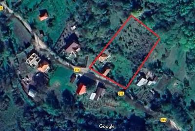 Casa de vanzare Malureni-Bunesti-Arges - 2