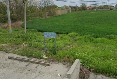 Spațiu comercial, în Jilava - 3