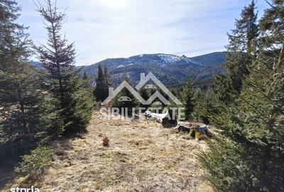 Teren de 2733 mp, în Șugag - 7