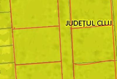 Teren Construcții intravilan de 5600 mp, în Dezmir - 1