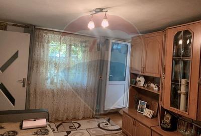 Casuta de la tara - 7