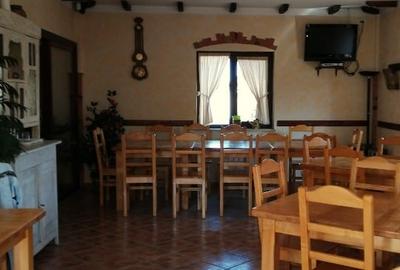 Persoana fizica  vând  Pizzerie restaurant - 6