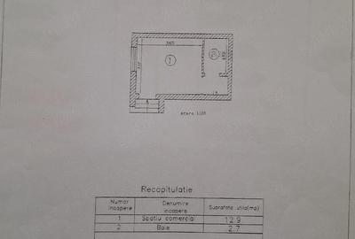 Spațiu comercial, de 16 mp, în Alexandru cel Bun - 1