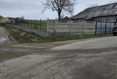 Casă cu 2 camere în Păușa - 4