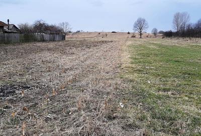 TEREN INTRAVILAN SI EXTRAVILAN POLOVRAGI - BENGEASCA - 5