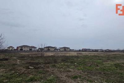 Spațiu comercial, în Moșnița Nouă - 3