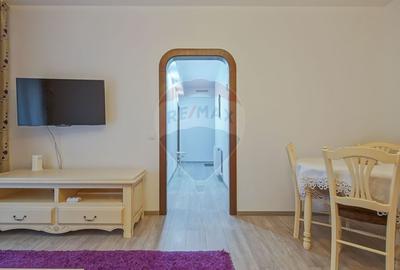 Apartament cu 2 camere decomandat cu gradina- Sanpetru - 6