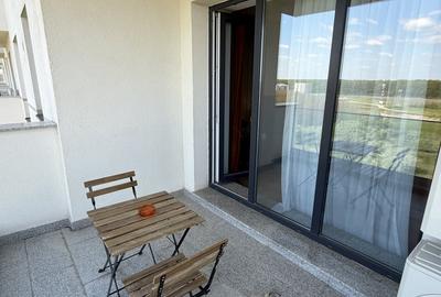 Apartament cu 2 camere decomandat, mobilat în Băneasa - 11