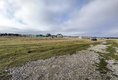 Teren de 1000 mp, în Glăjărie - 3