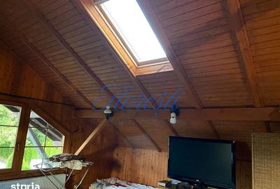 Casă cu 5 camere cu Teren 3000 Mp în Făget - 5