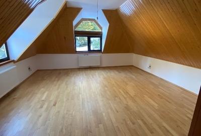 Casă individuală cu 6 camere cu Teren 20000 Mp în Panaci - 12