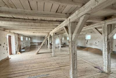 Ferma de Vanzare in judetul Timis, la nord est de Timisoara, - 30