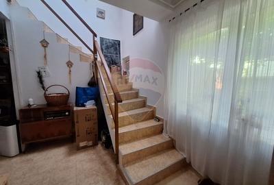 Doua case de vanzare in aceeasi curte, in zona Sub Arini - 7