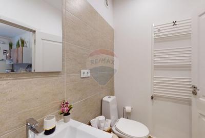 Apartament cu 1 camere nedecomandat, mobilat în Centrul Istoric - 12